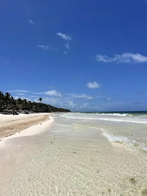 Jungle Eco-Luxury Apartment Tulum